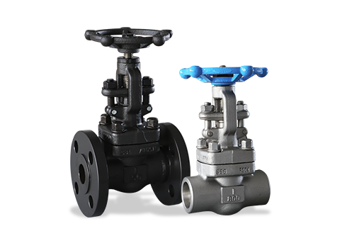 Forged steel valve series