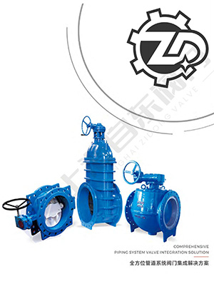 Corporate promotional brochure