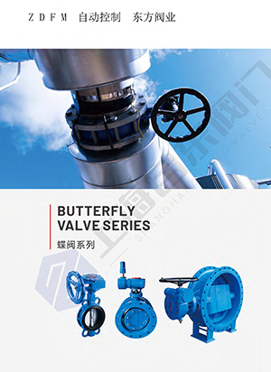 Butterfly valve series