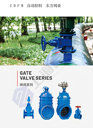 Gate valve series