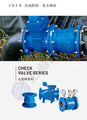 Check valve series